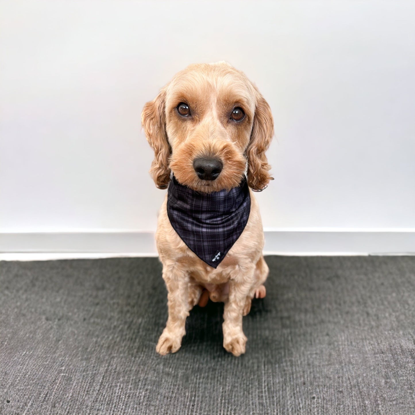 Tartan Tails Chic Pet Bandana