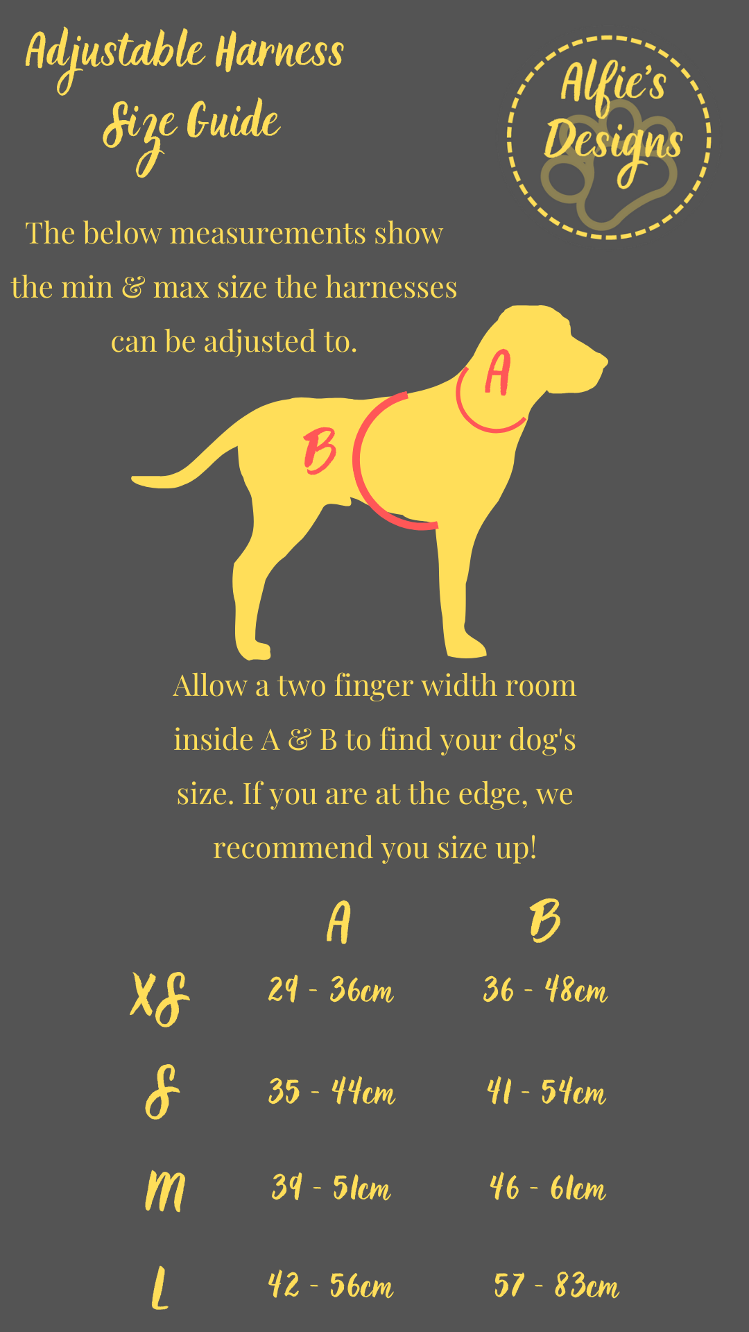 Hidden Stars Pet Harness