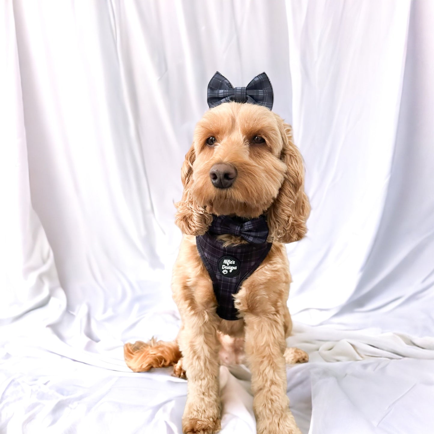 Tartan Tails Chic Bow Tie