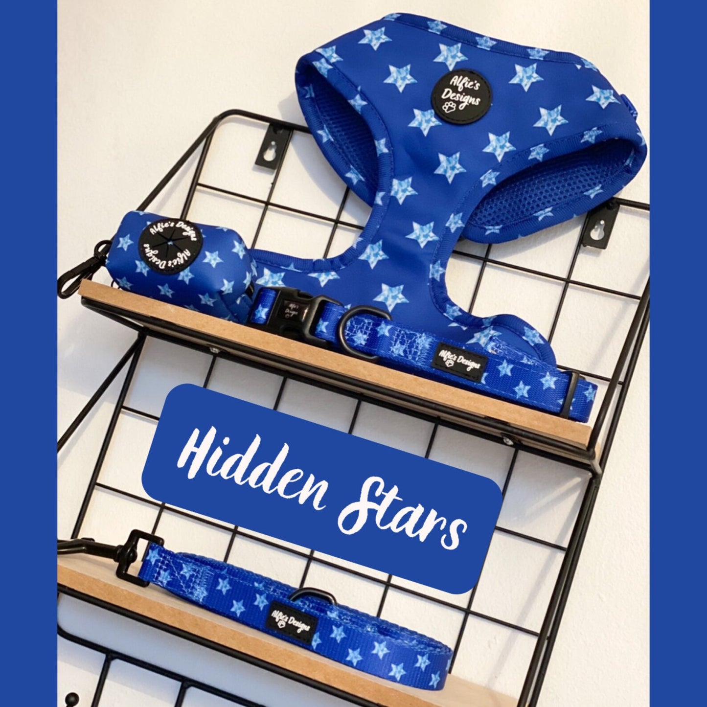 Hidden Stars Pet Lead