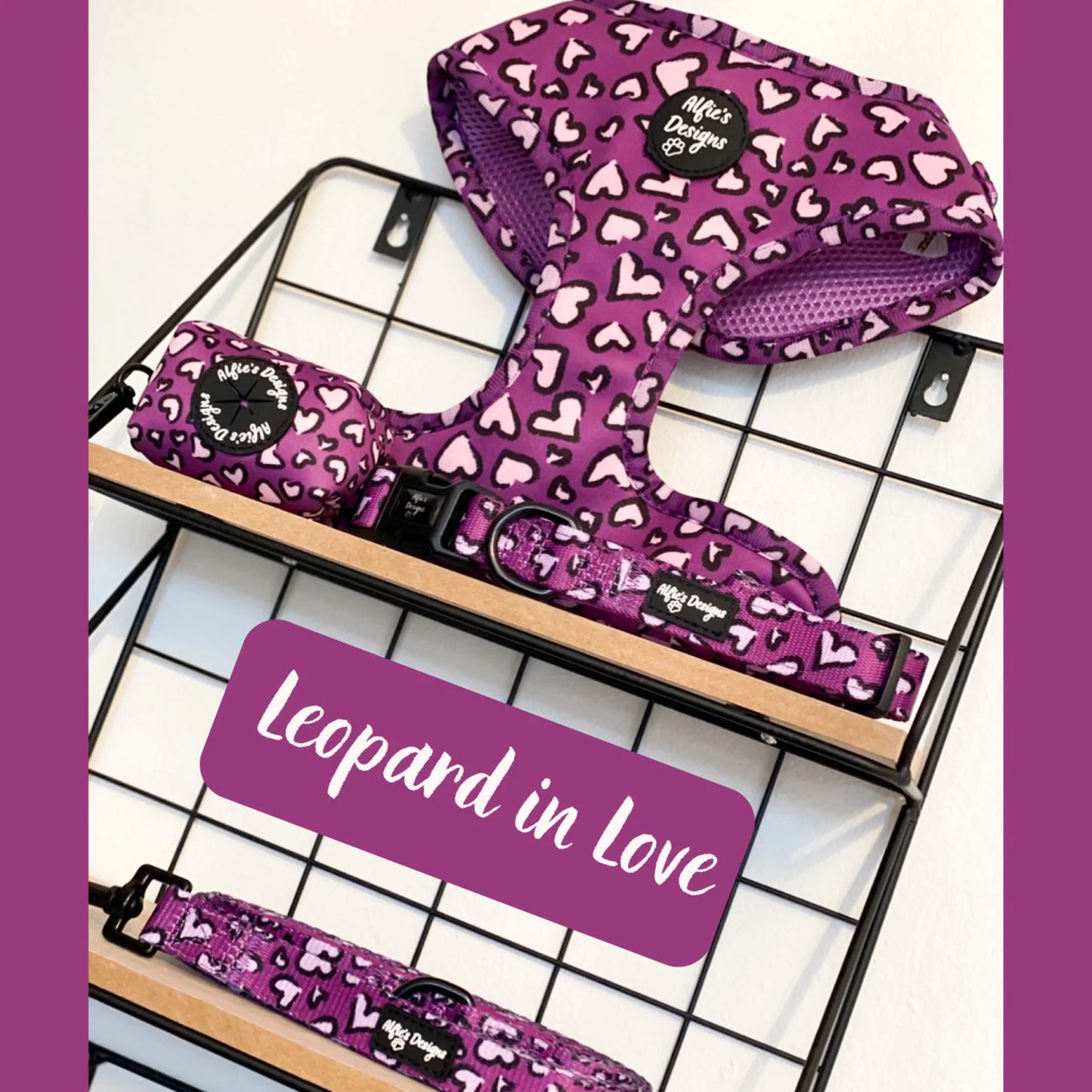 Leopard in Love Pet Lead