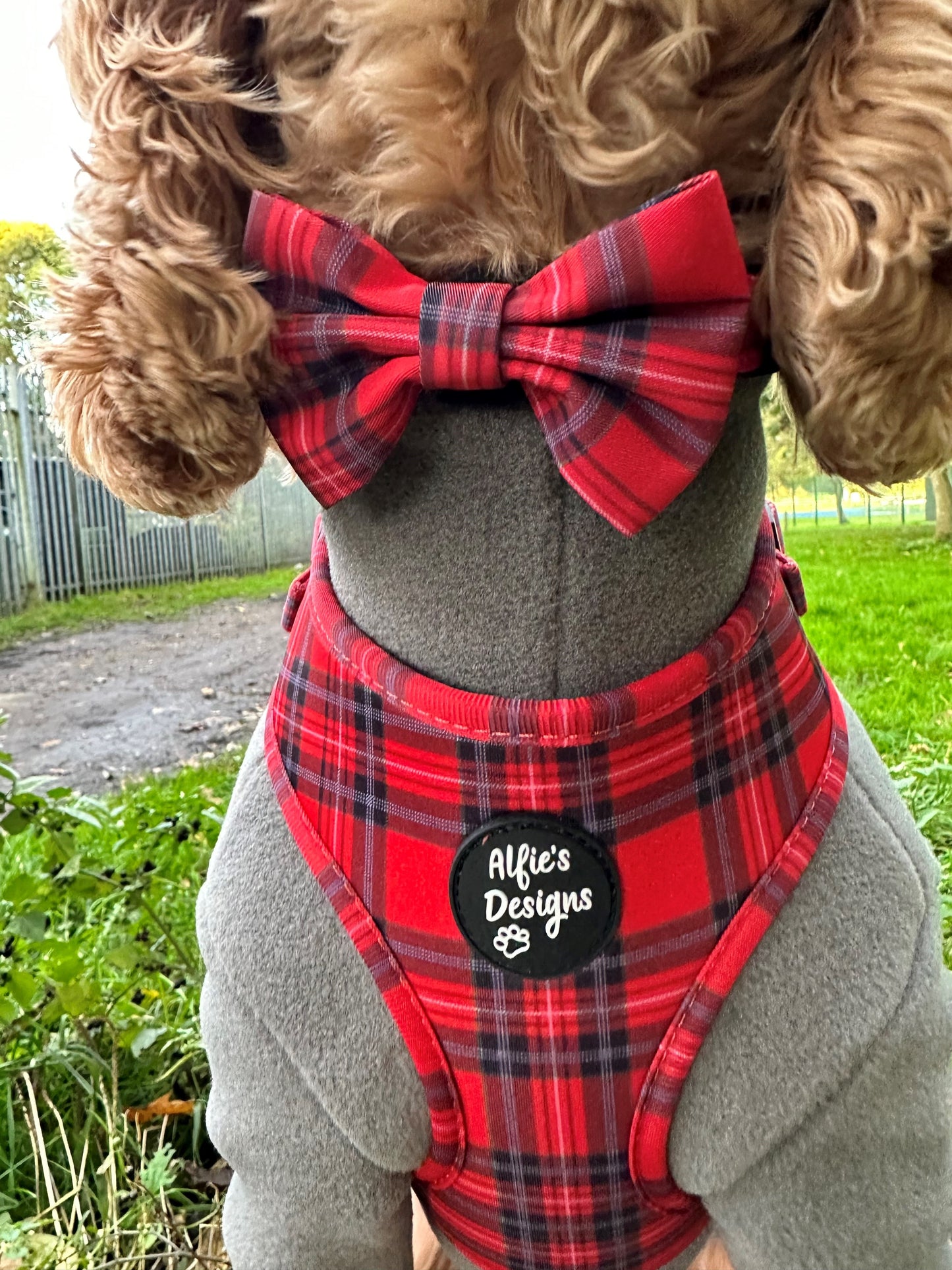 Tartan Tails Classic Bow Tie