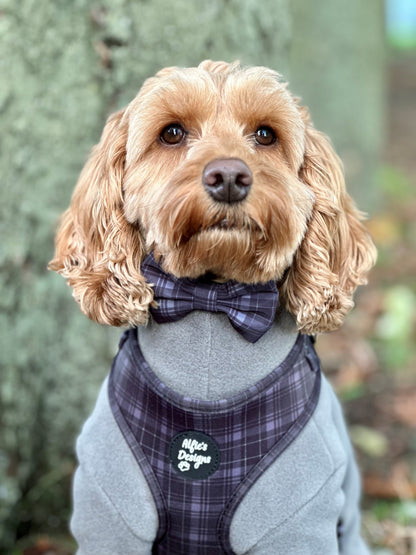 Tartan Tails Chic Bow Tie